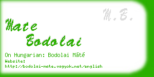 mate bodolai business card