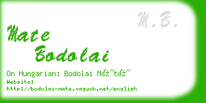 mate bodolai business card